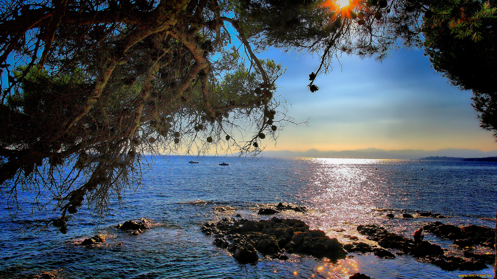 природа, восходы, закаты, дерево, море, лучи, солнце, ветви