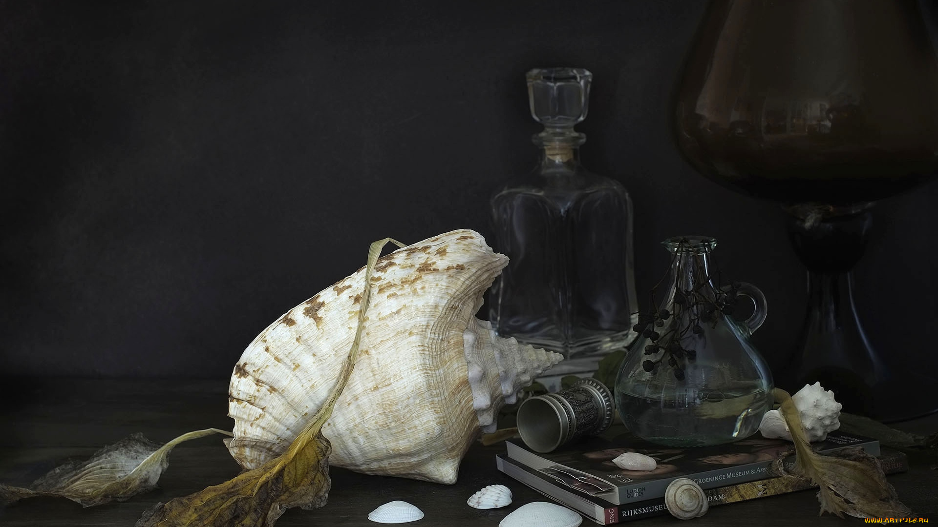 разное, ракушки, кораллы, декоративные, spa, камни, ракушка