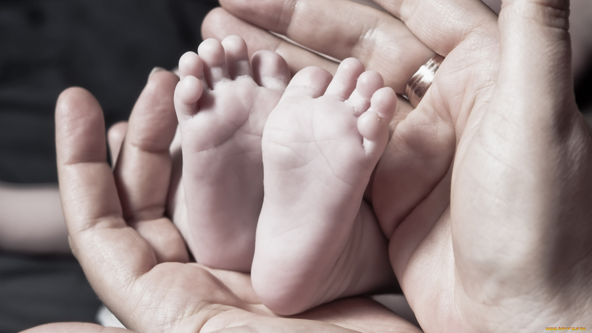 разное, руки, младенец, любовь, ножки