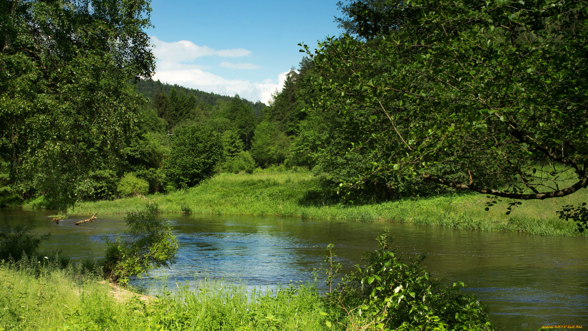 schwarzach, германия, бавария, природа, реки, озера, река, деревья
