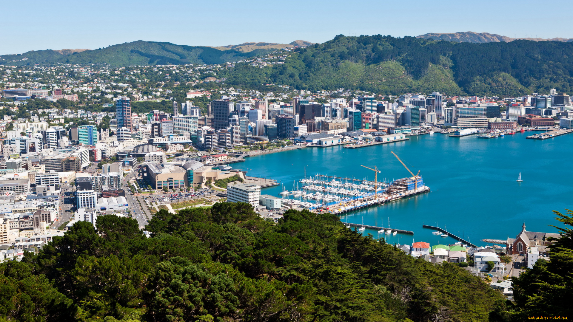 веллингтон, новая, зеландиия, города, зеландия, панорама, дома, море