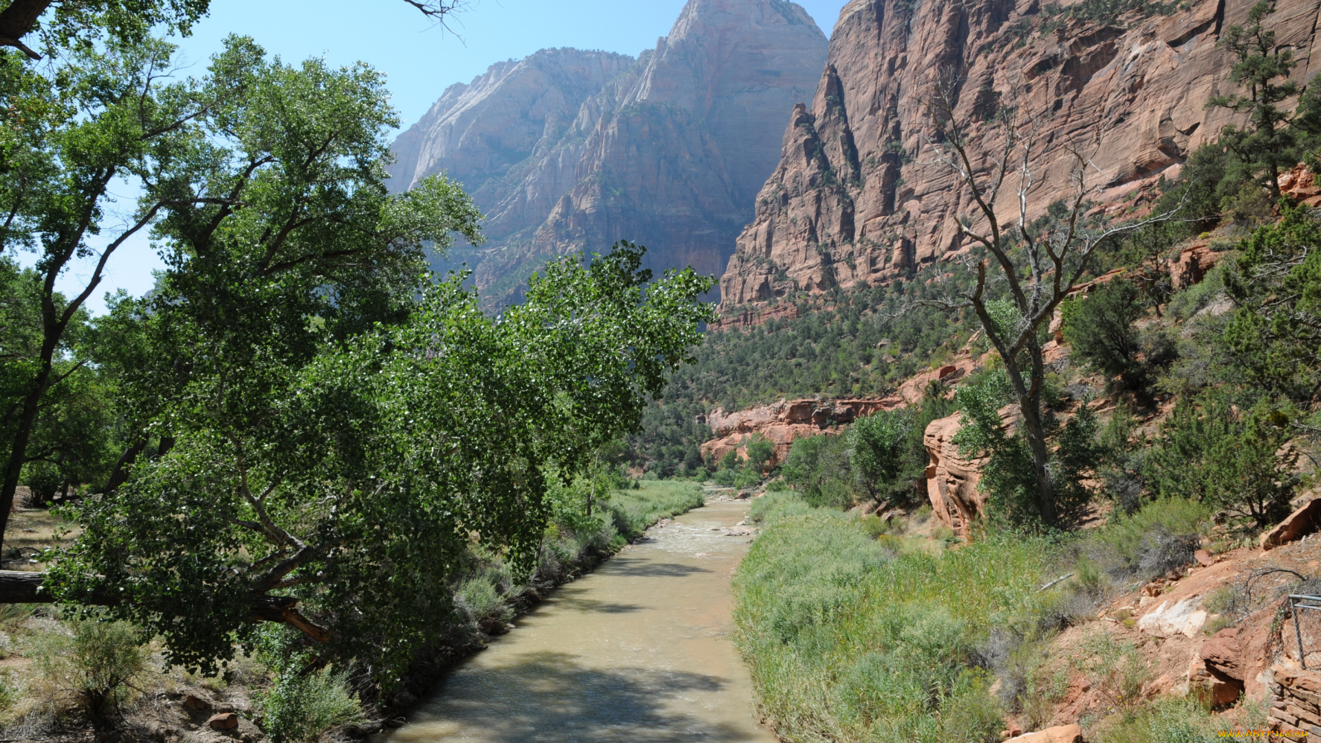 zion, national, park, utah, природа, горы, тропинка