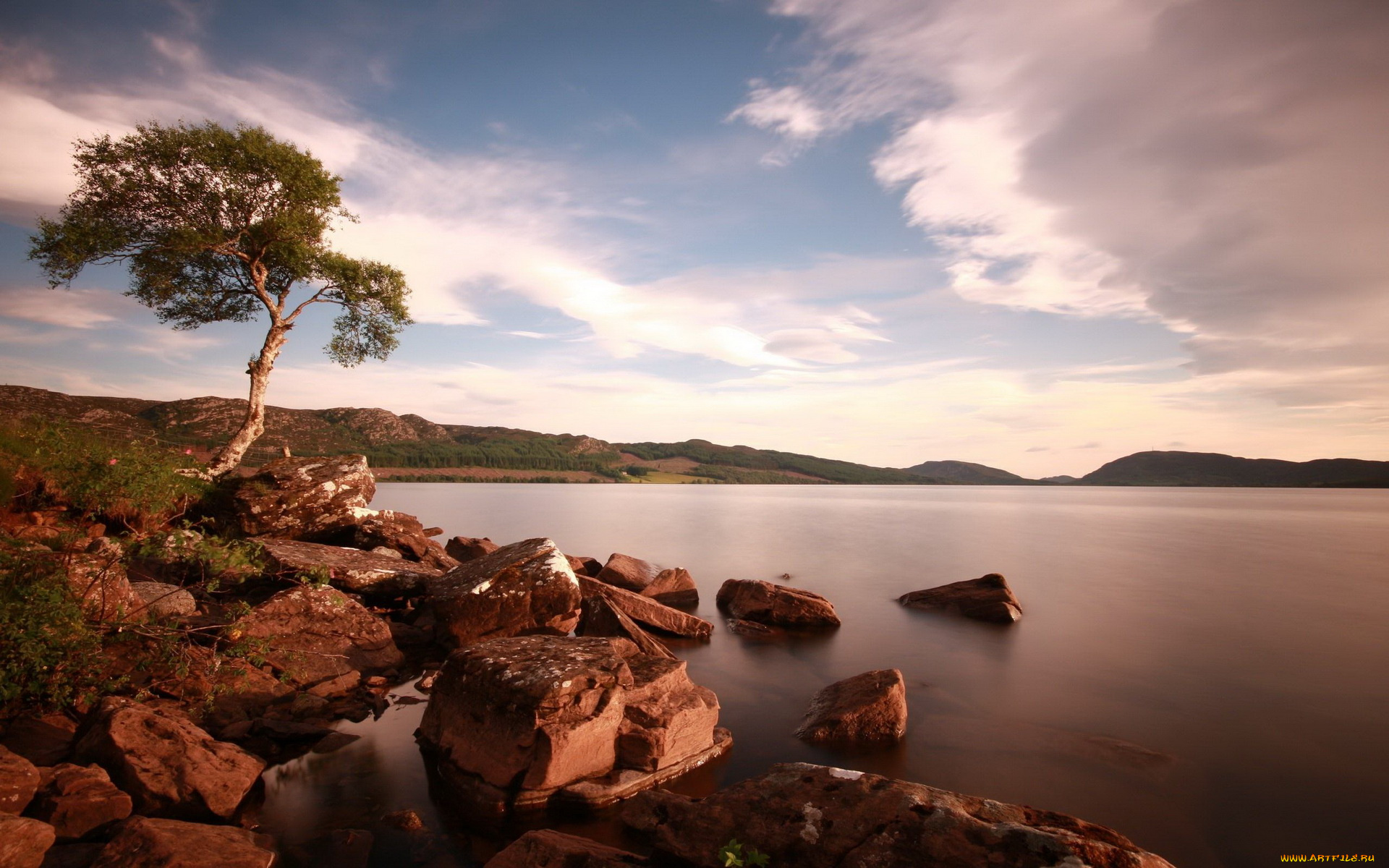 природа, реки, озера, озеро, берег, дерево, тучи