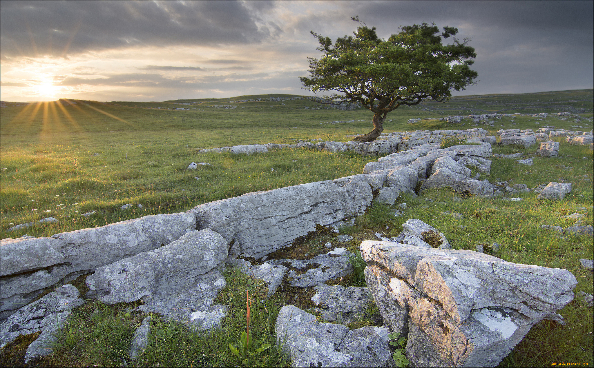 природа, восходы, закаты, камни, дерево, восход