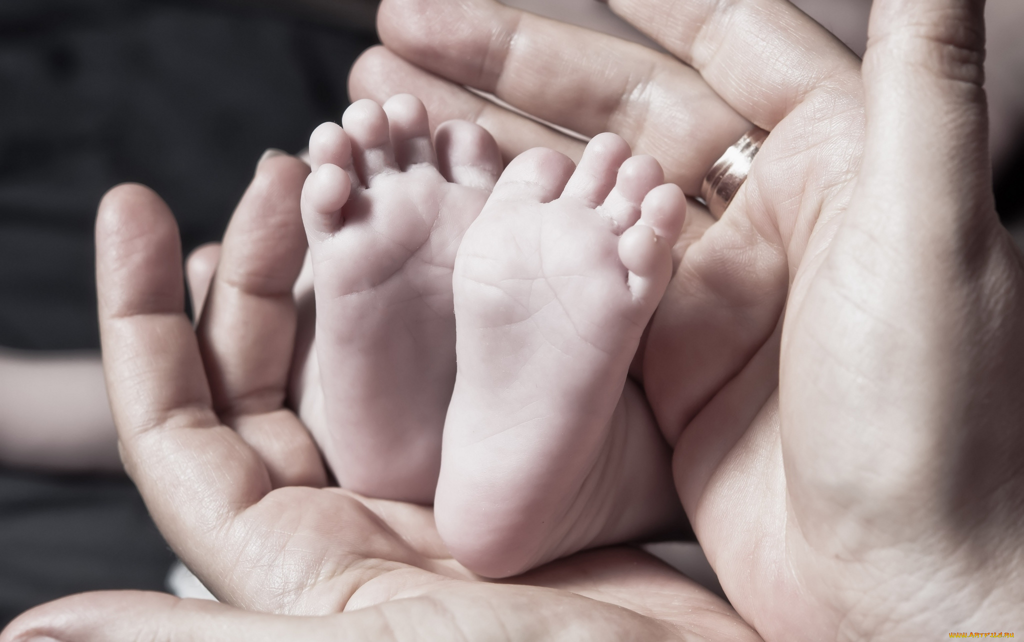 разное, руки, младенец, любовь, ножки