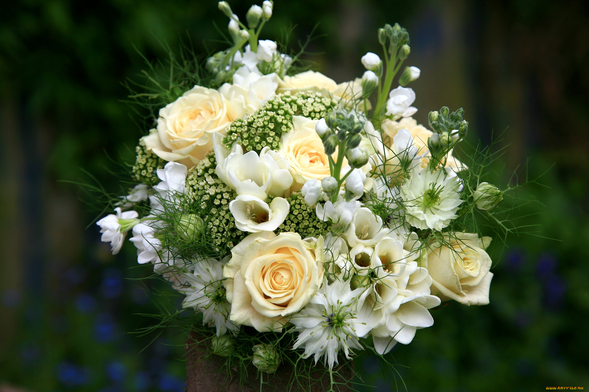 цветы, букеты, композиции, розы, нигелла, фрезия, левкой