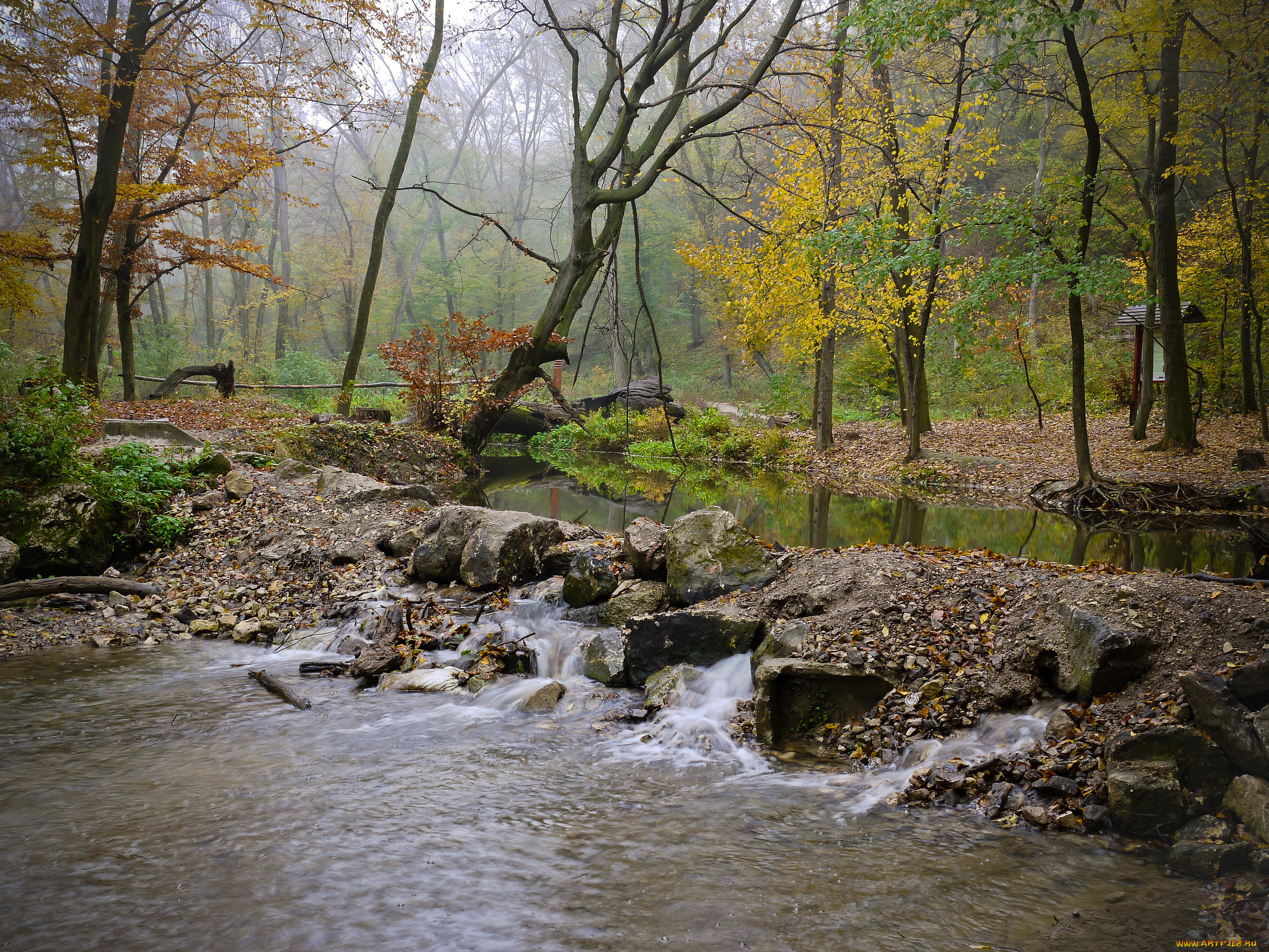 природа, реки, озера, осень, туман, камни, поток, река, лес