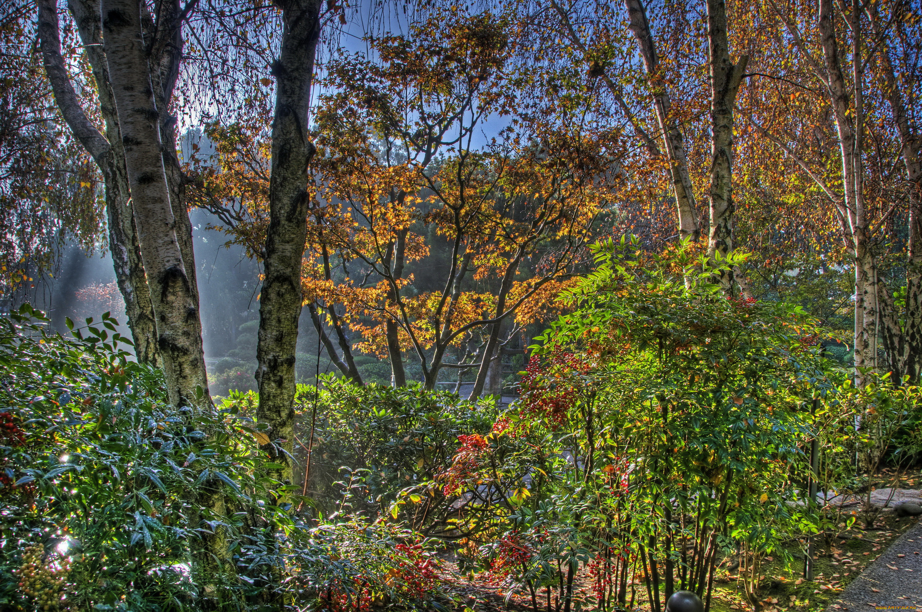 earl, burns, miller, japanese, garden, california, usa, природа, парк, растения