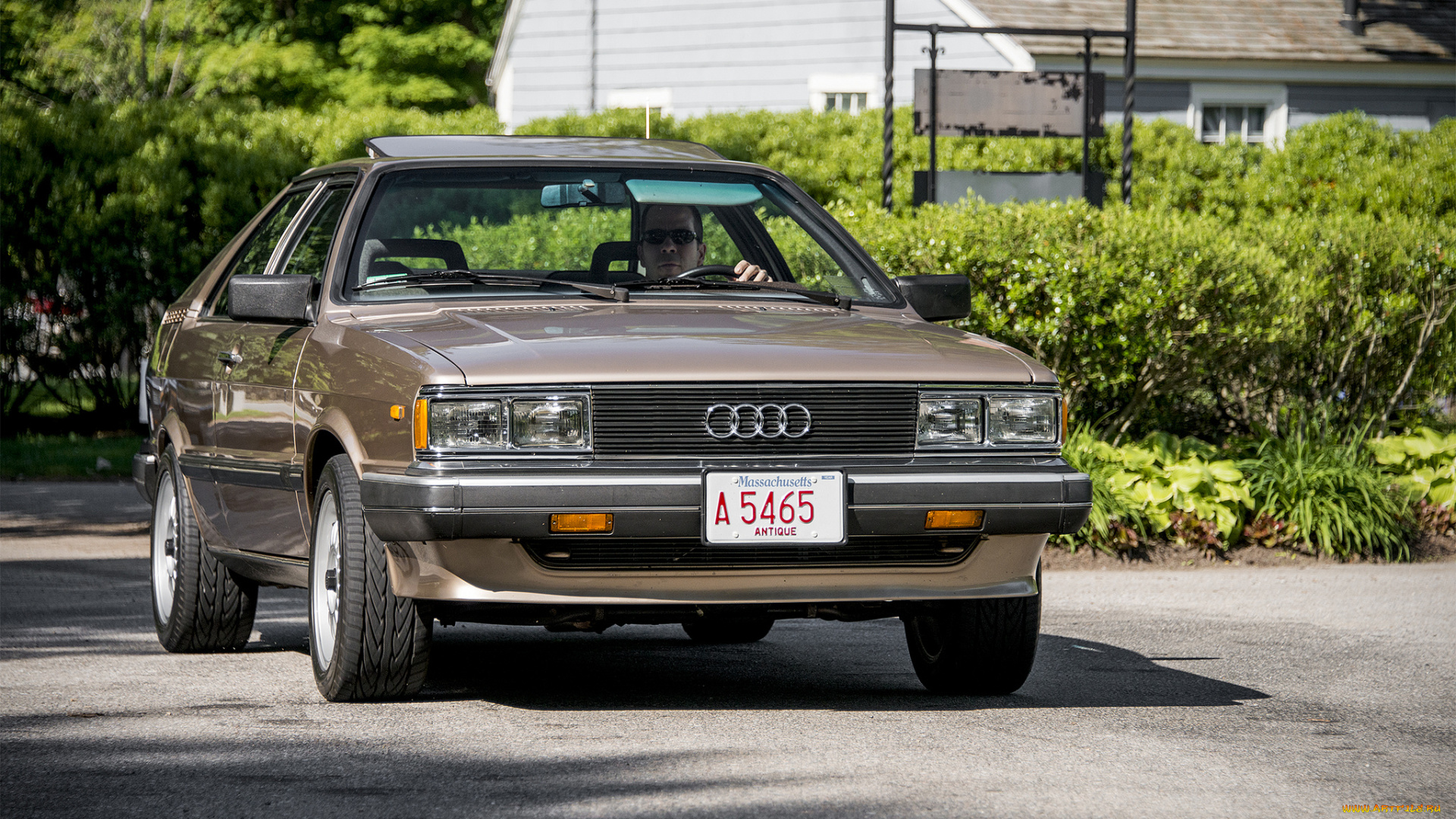 audi, quattro, coupe, автомобили, audi, автошоу, выставка, автопробег