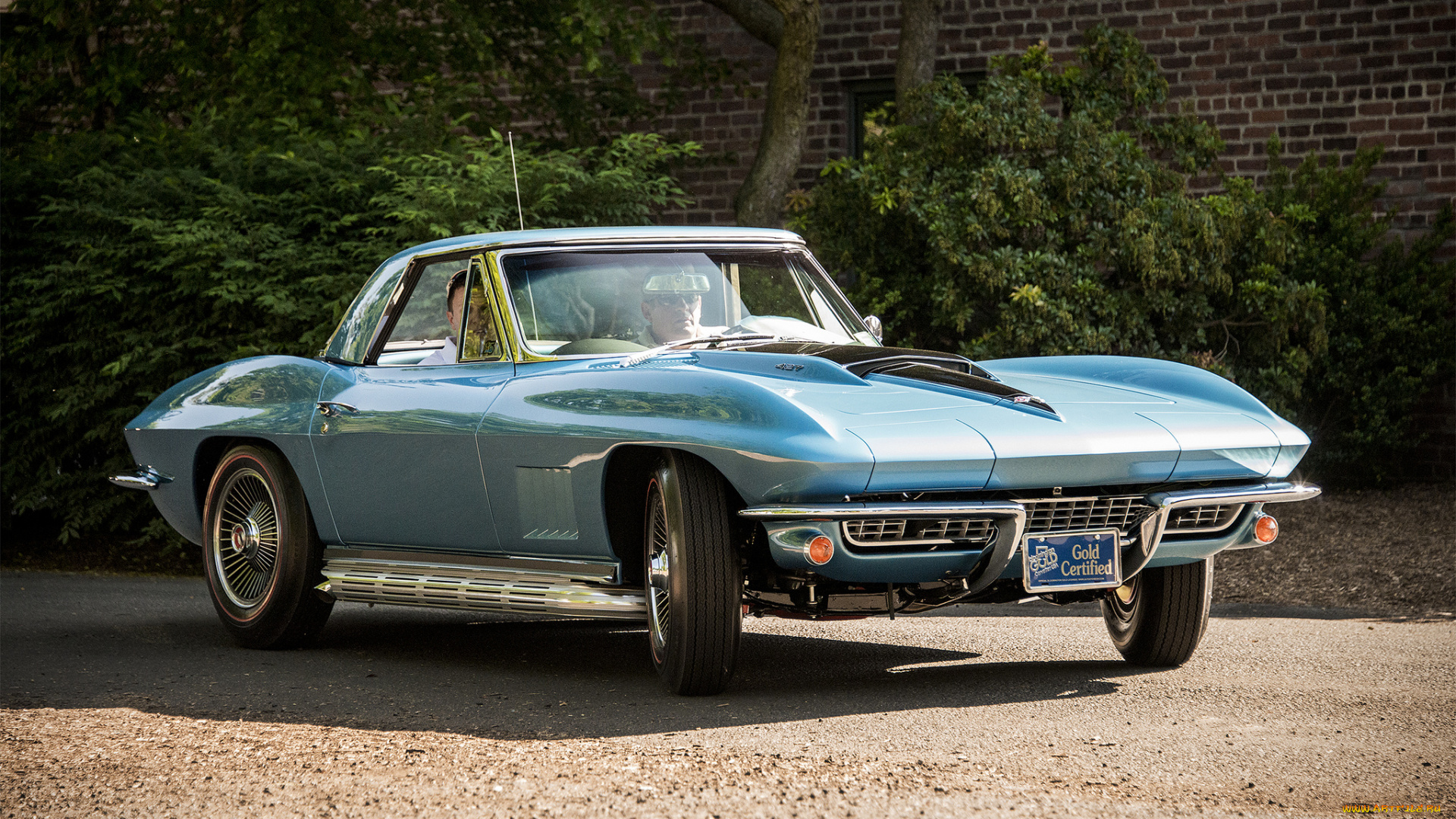 chevrolet, corvette, автомобили, corvette, автопробег, выставка, автошоу