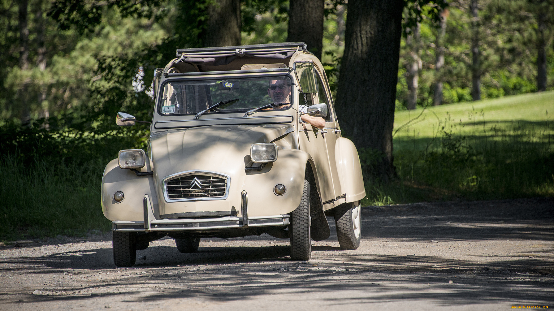 citroen, 2cv, автомобили, citroen, выставка, автошоу, автопробег