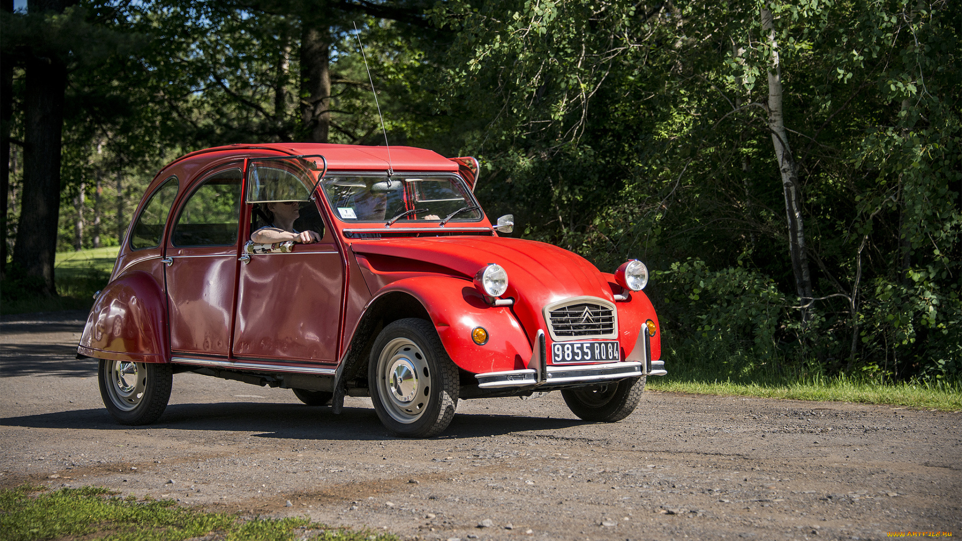 citroen, 2cv, автомобили, citroen, выставка, автошоу, автопробег