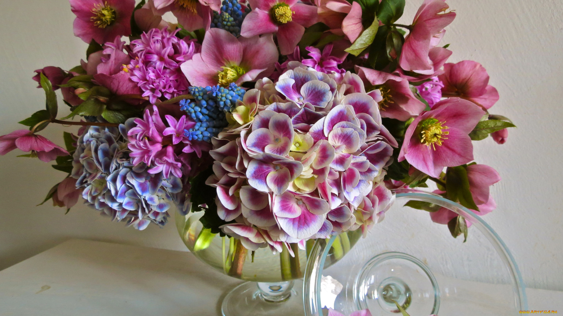 цветы, букеты, , композиции, мускари, гиацинты, гортензия, нelleborus, букет, морозник