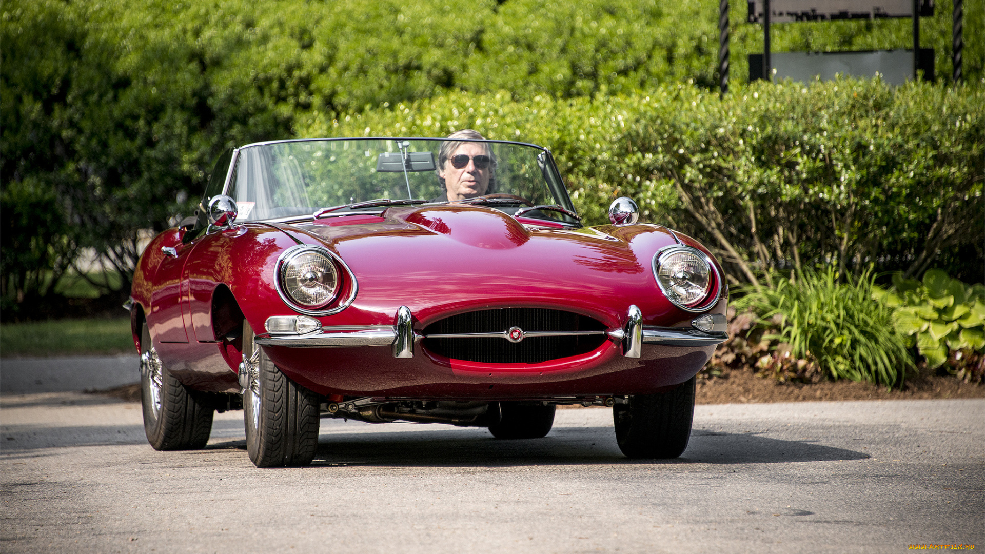 jaguar, e-type, автомобили, jaguar, автошоу, выставка, автопробег