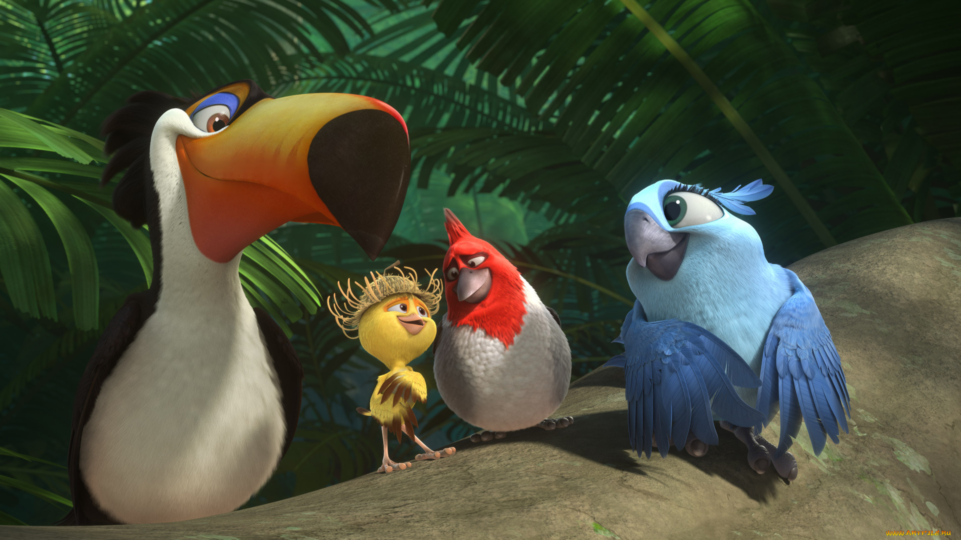 мультфильмы, rio, 2, цыпленок, попугай