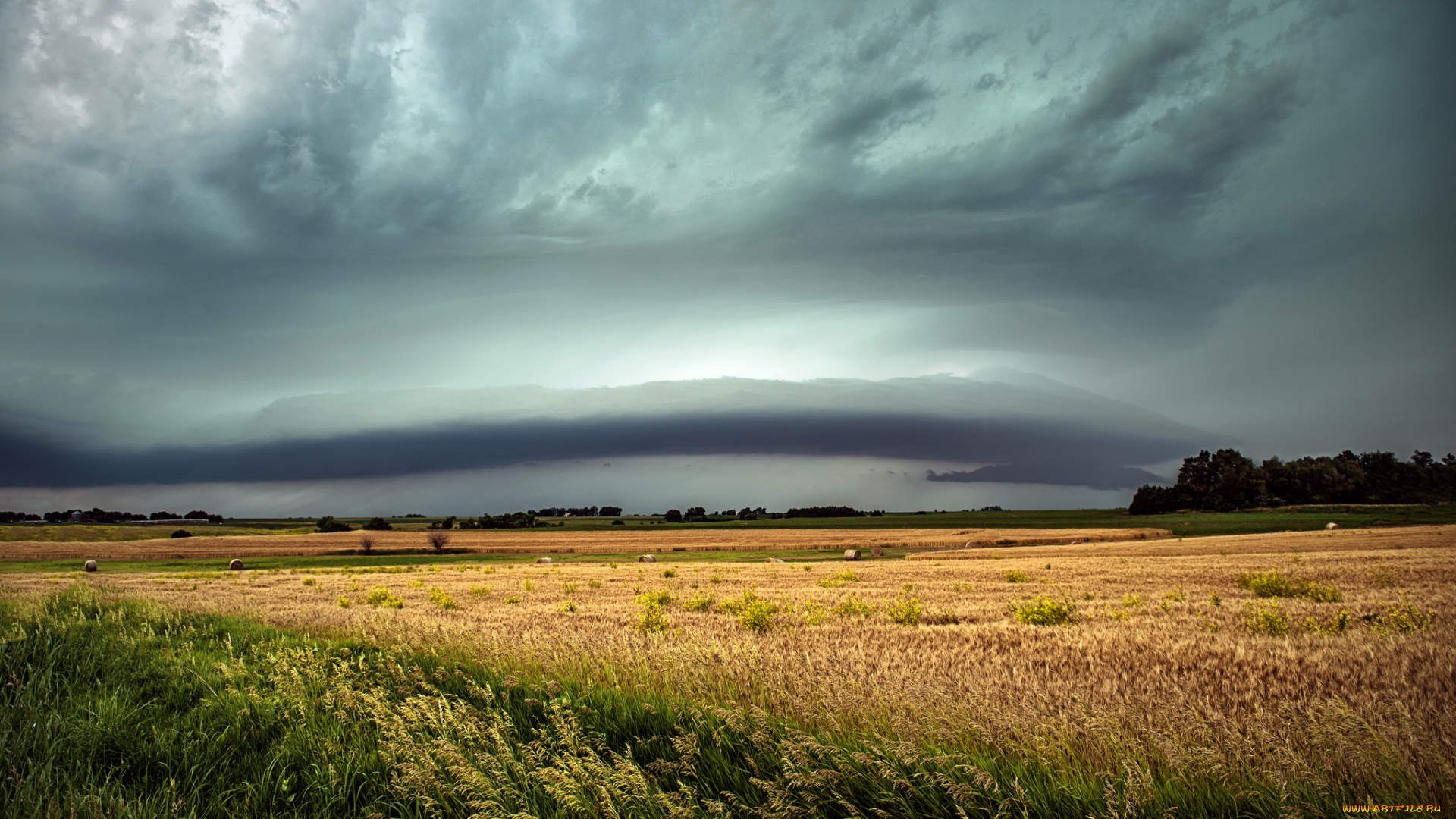 природа, поля, осень, тучи