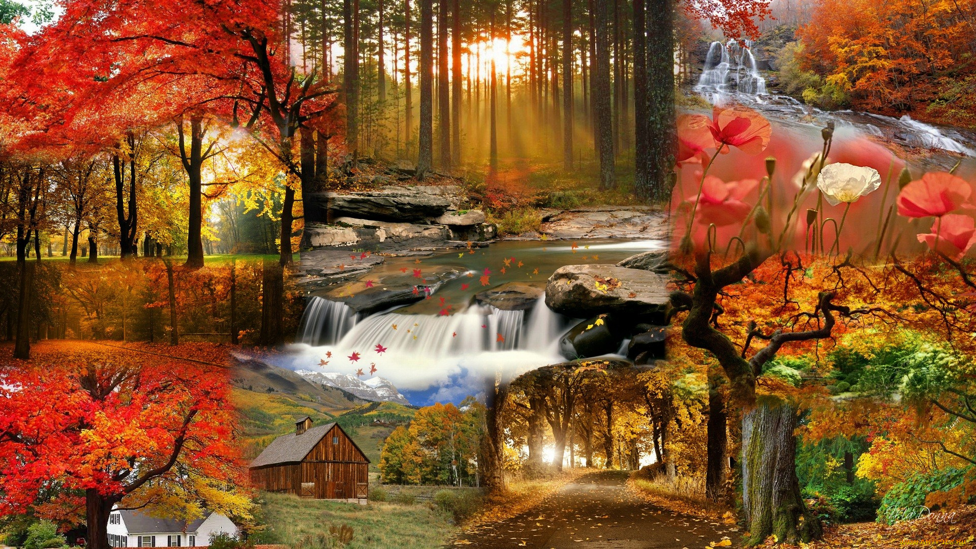 разное, компьютерный, дизайн, дом, водопад, дорога, цветы, лес