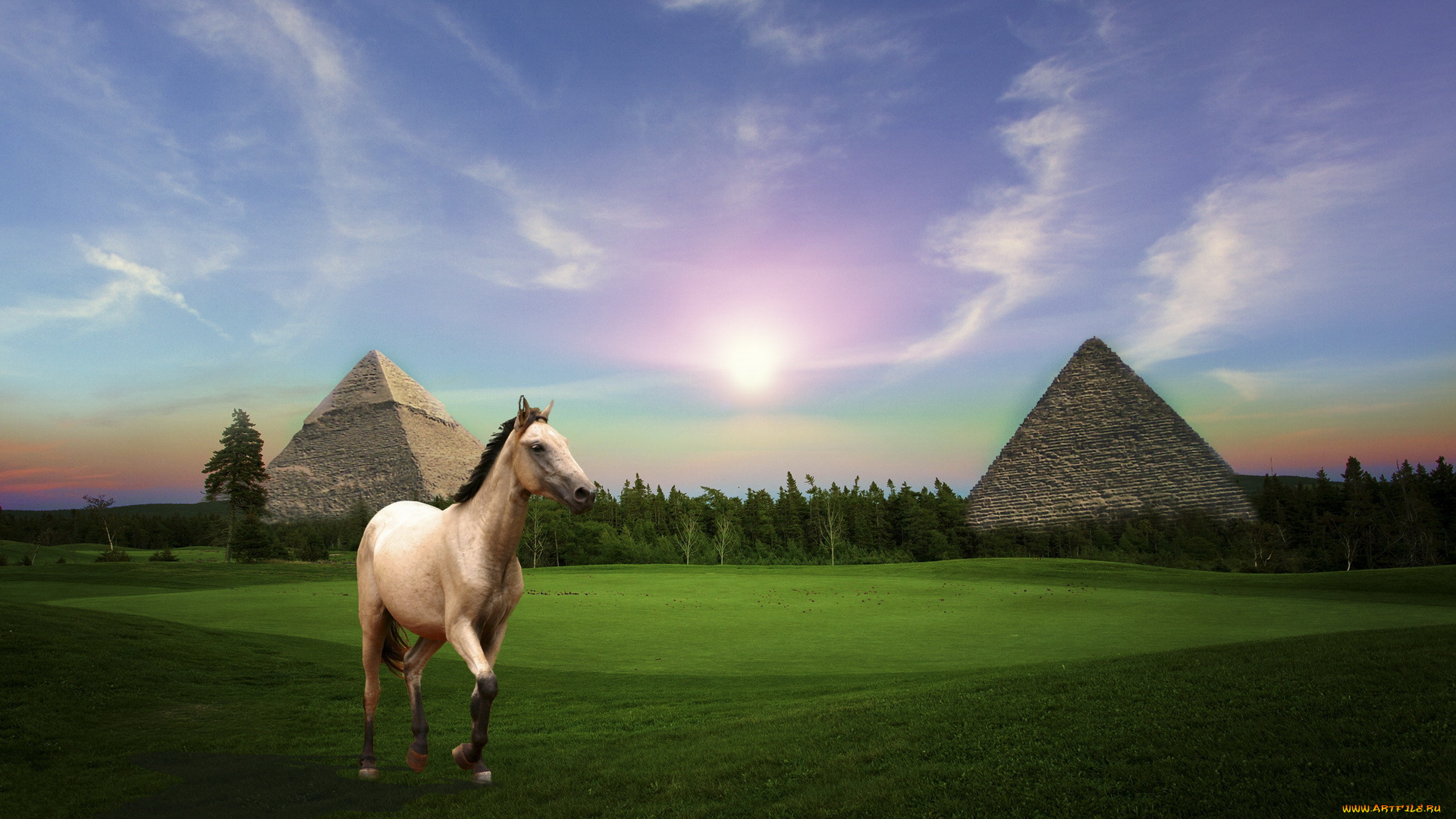 разное, компьютерный, дизайн, пирамиды, лошадь, поле, лес
