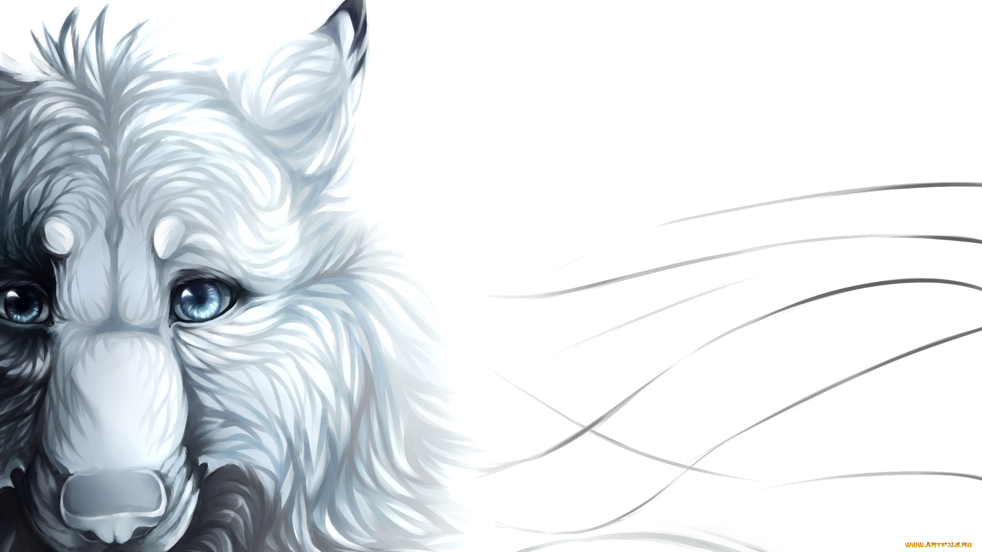 рисованные, животные, , волки, морда