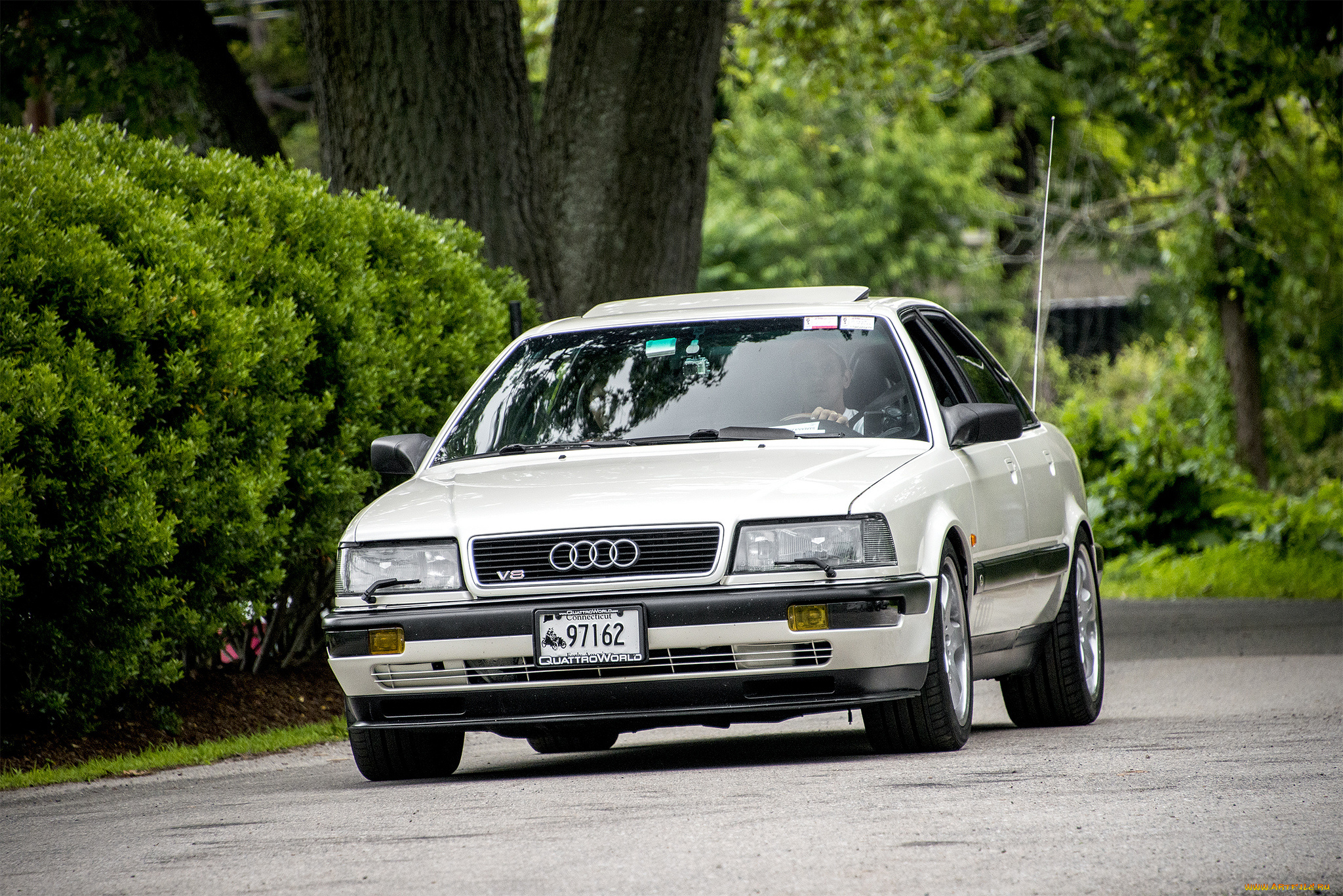 audi, v8, d1, автомобили, audi, автопробег, выставка, автошоу