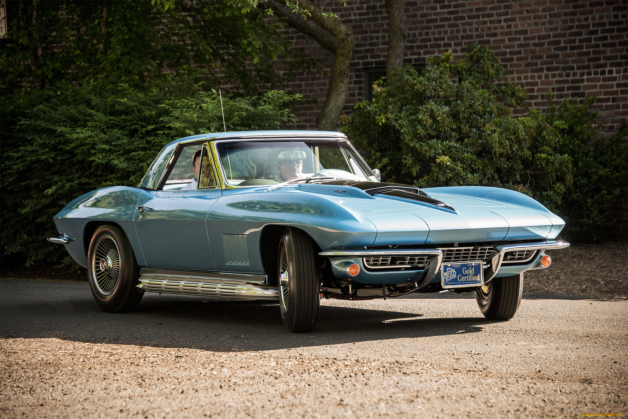 chevrolet, corvette, автомобили, corvette, автопробег, выставка, автошоу