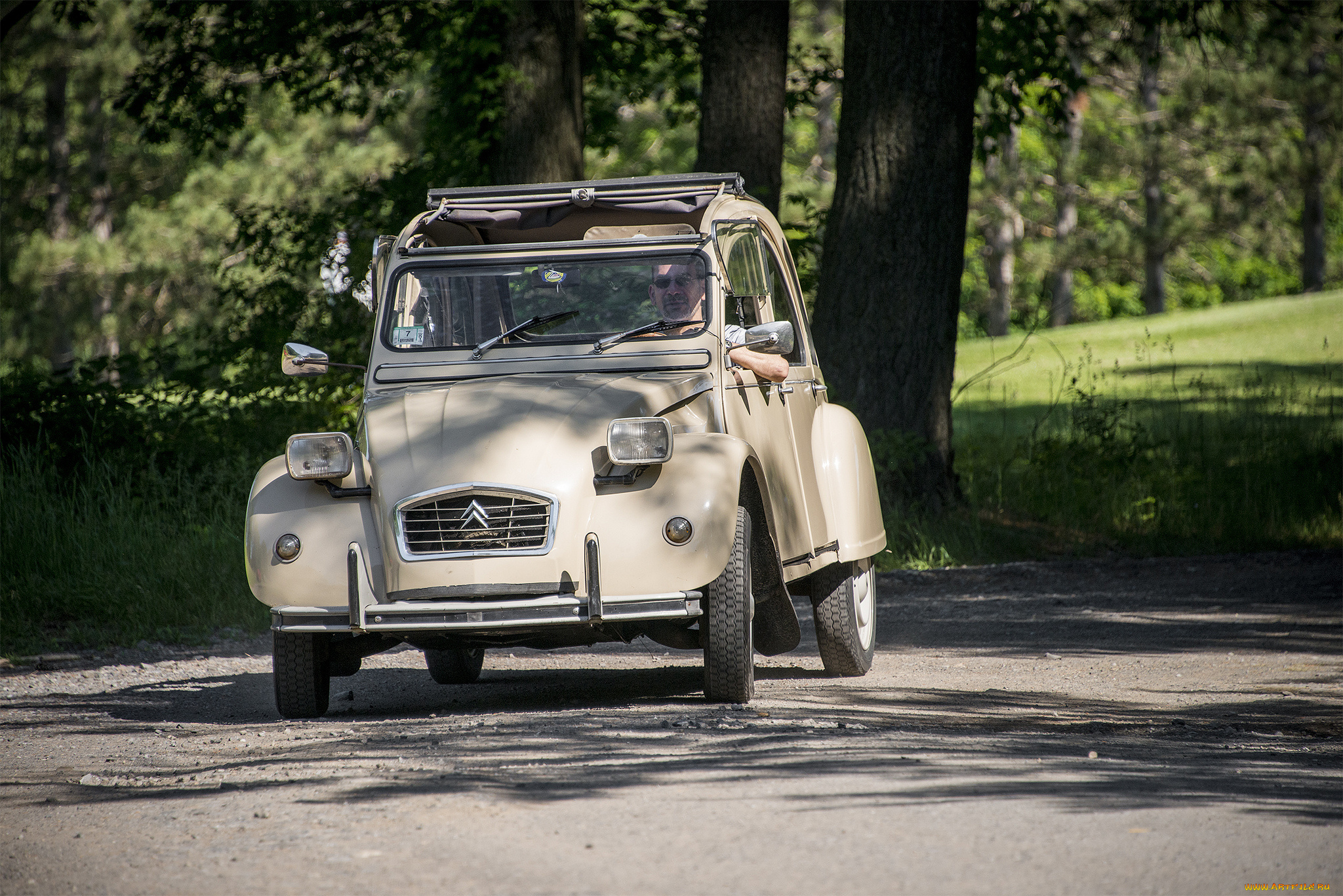 citroen, 2cv, автомобили, citroen, выставка, автошоу, автопробег