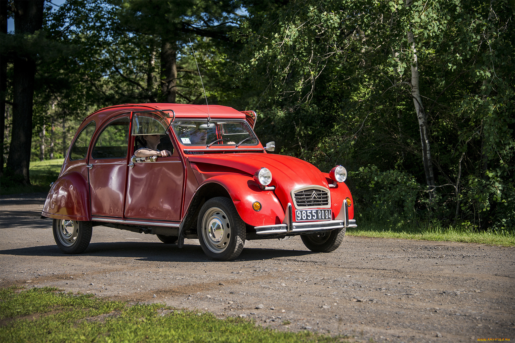 citroen, 2cv, автомобили, citroen, выставка, автошоу, автопробег