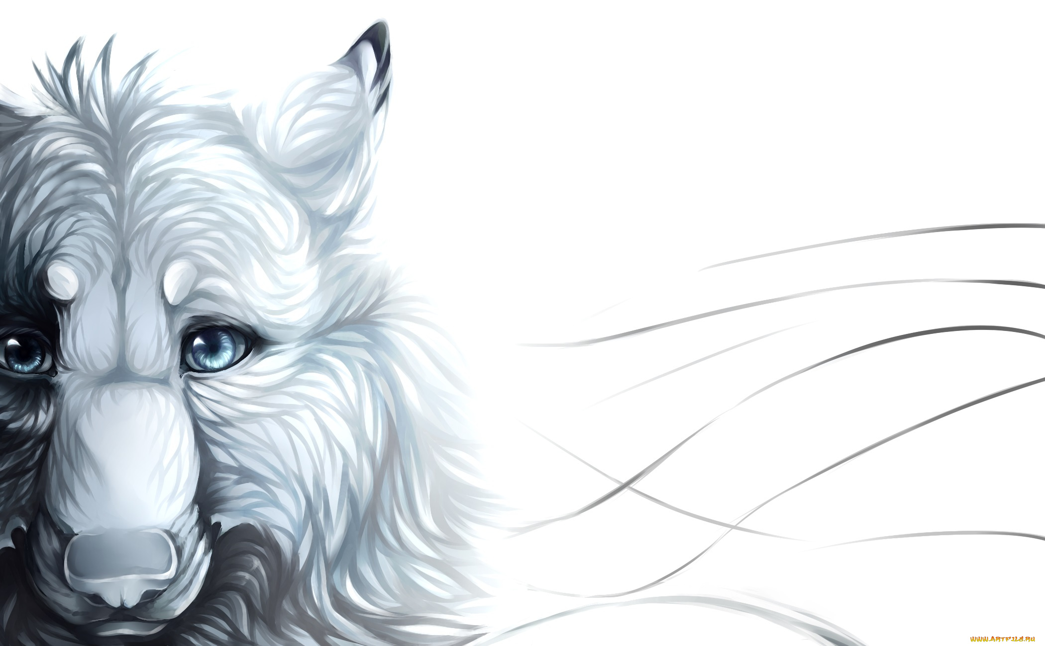 рисованные, животные, , волки, морда