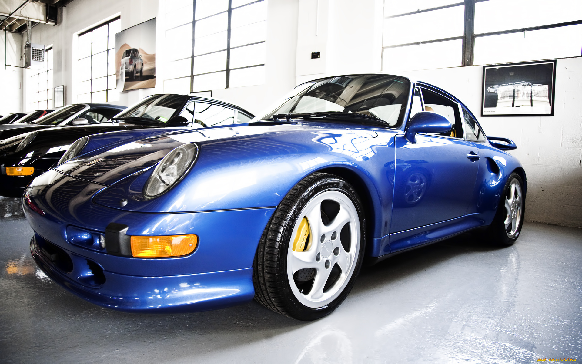 автомобили, выставки, и, уличные, фото, салон, синий, ряд, порше