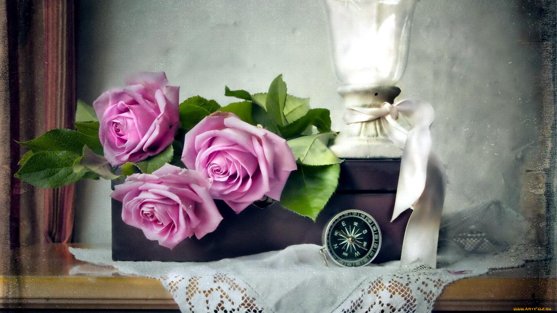цветы, розы, композиция