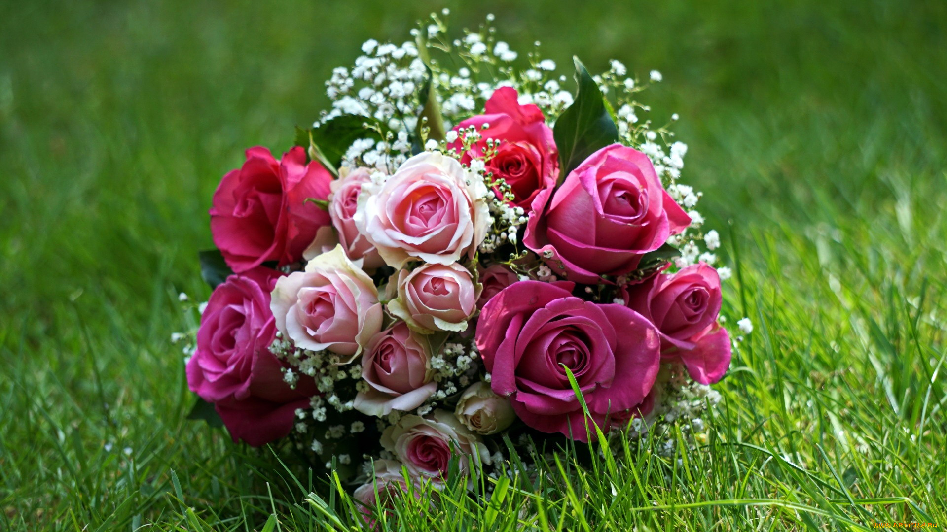 цветы, розы, трава, букет