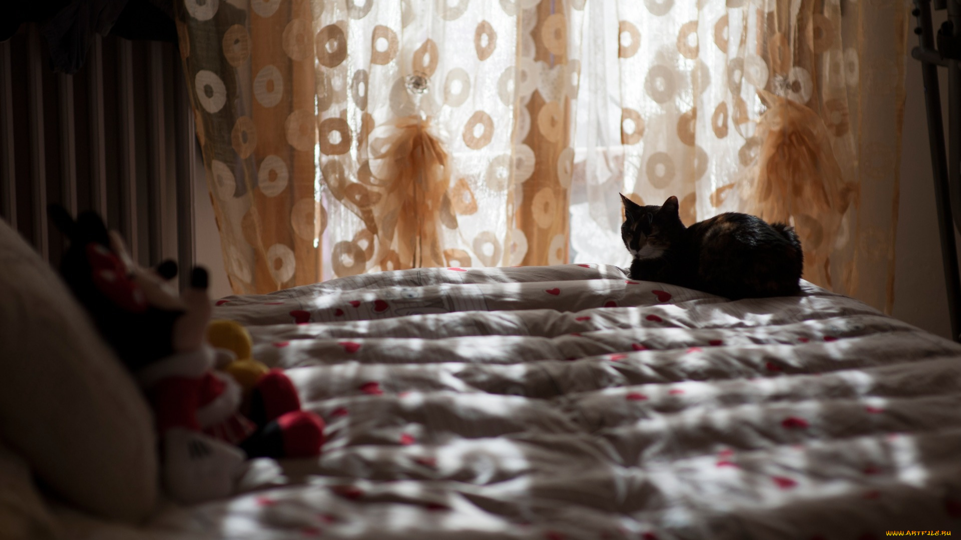 животные, коты, тени, уютно, игрушки, освещение, комната