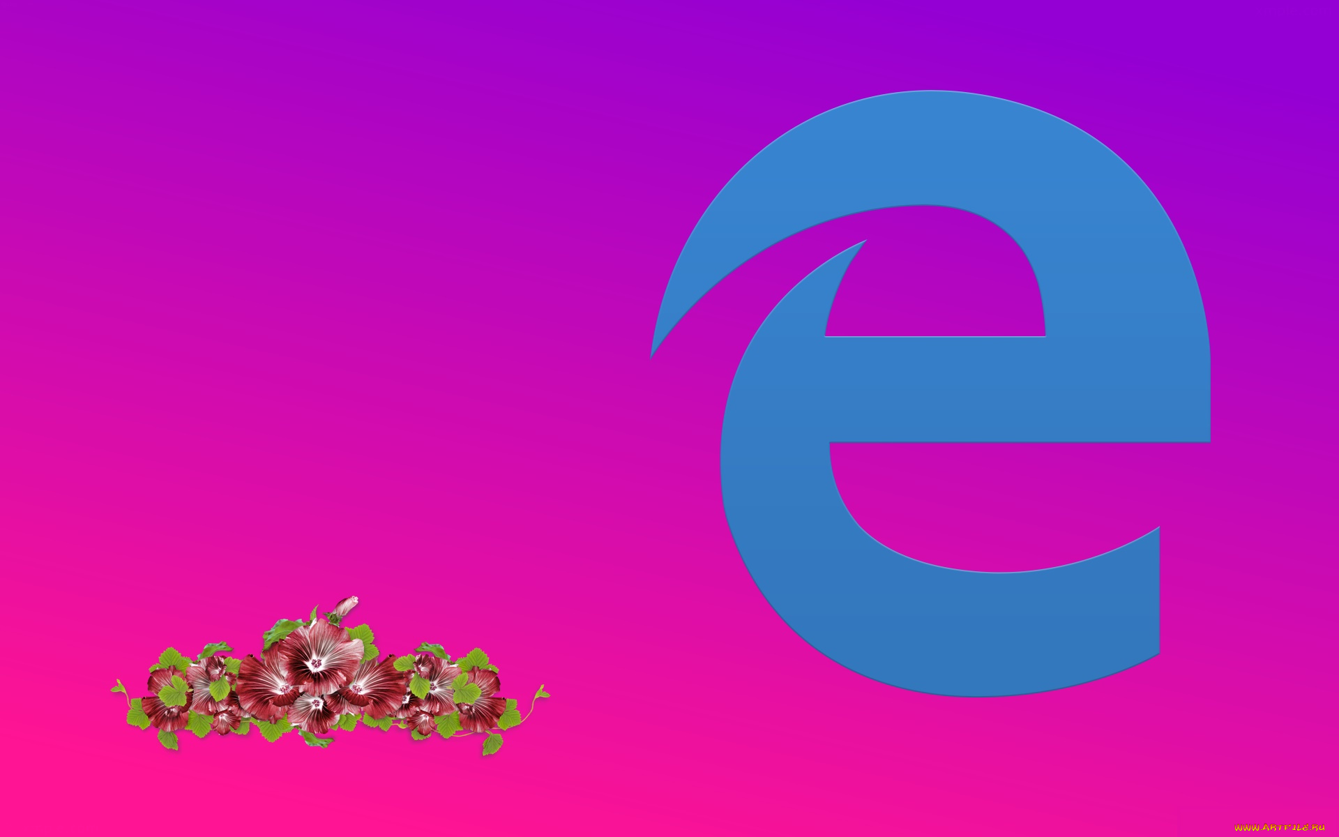 компьютеры, google, , google, chrome, логотип, фон