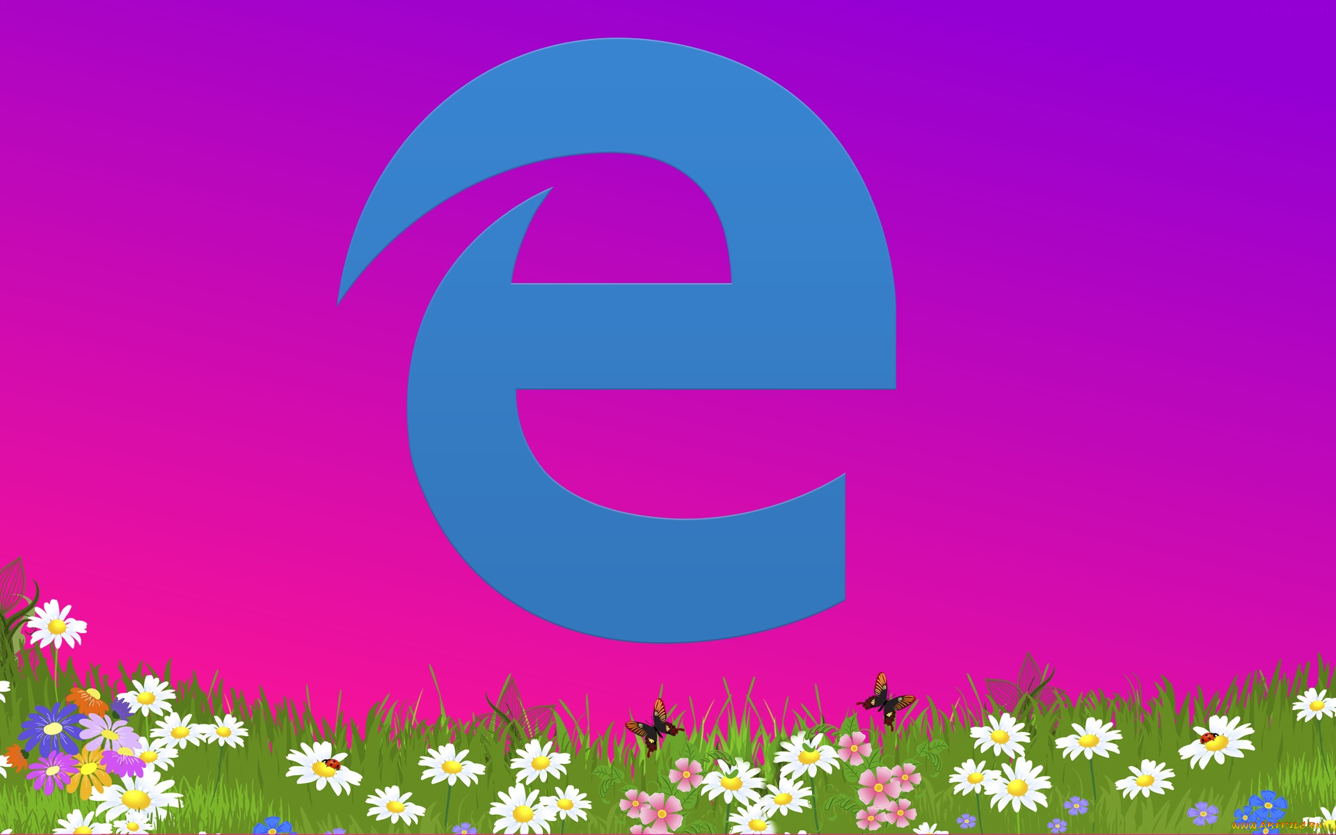 компьютеры, google, , google, chrome, логотип, фон