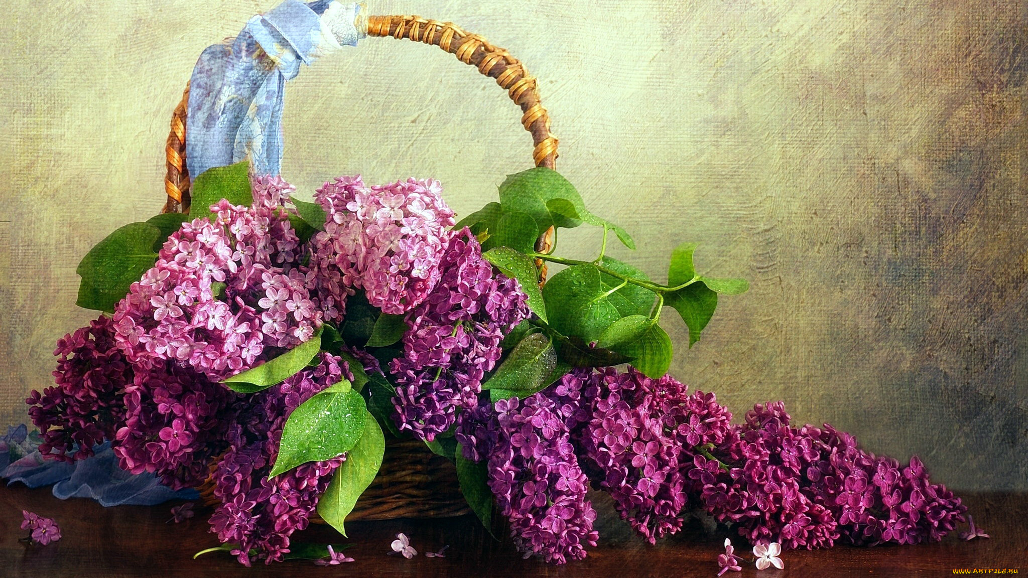 цветы, сирень, корзинка