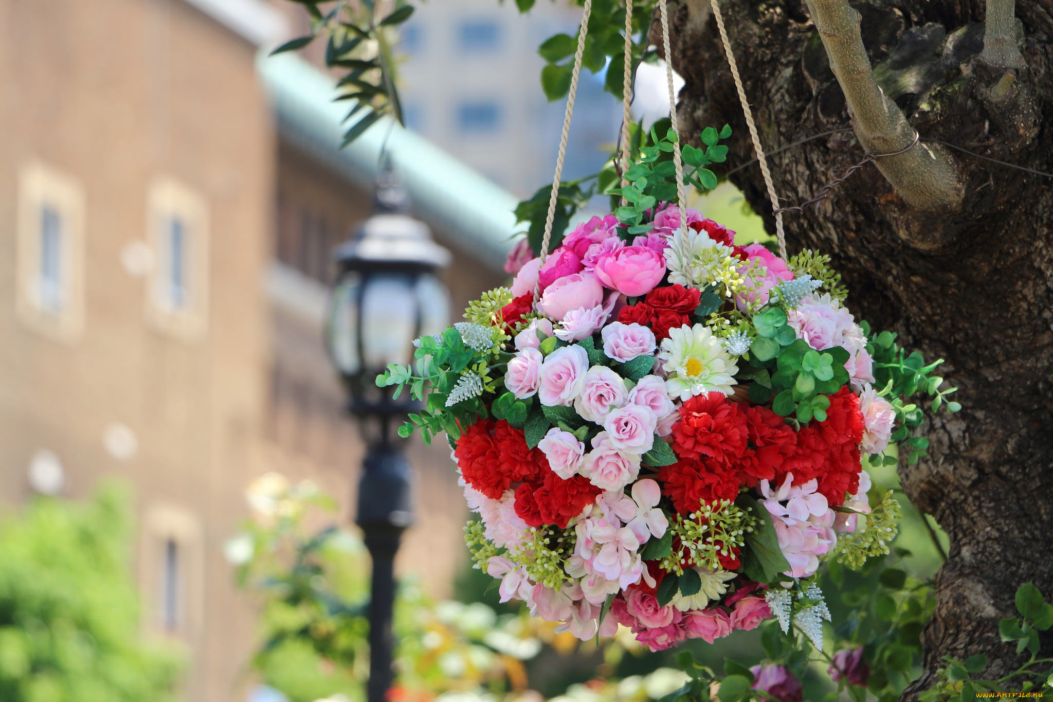 цветы, букеты, , композиции, гвоздики, композиция, розы, шар, гортензия