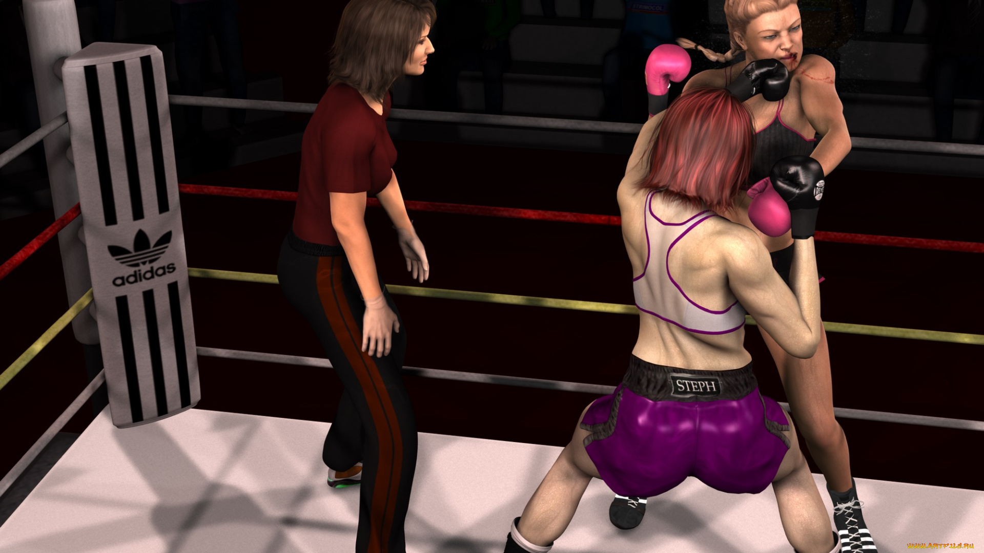 3д, графика, спорт, , sport, бокс, ринг, фон, взгляд, девушки