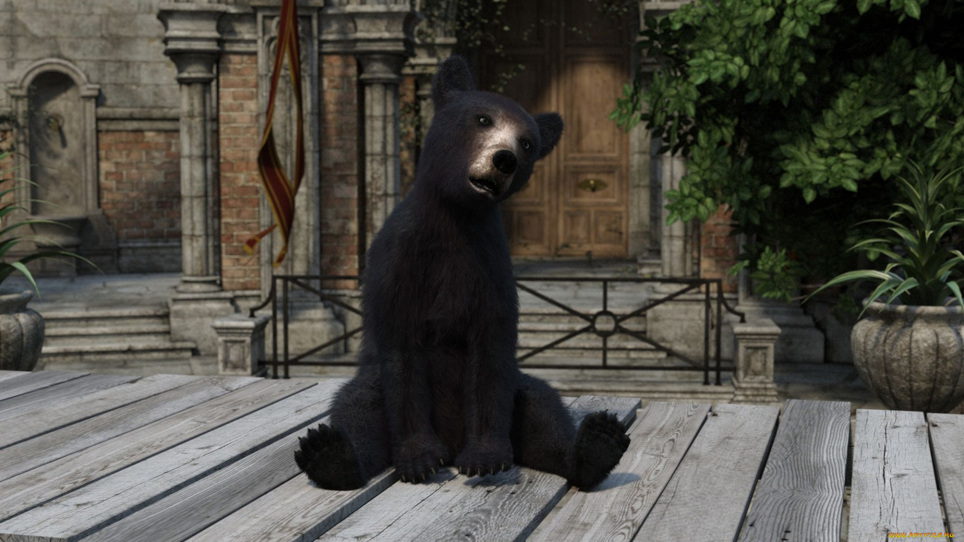 3д, графика, животные, , animals, медвежонок, фон