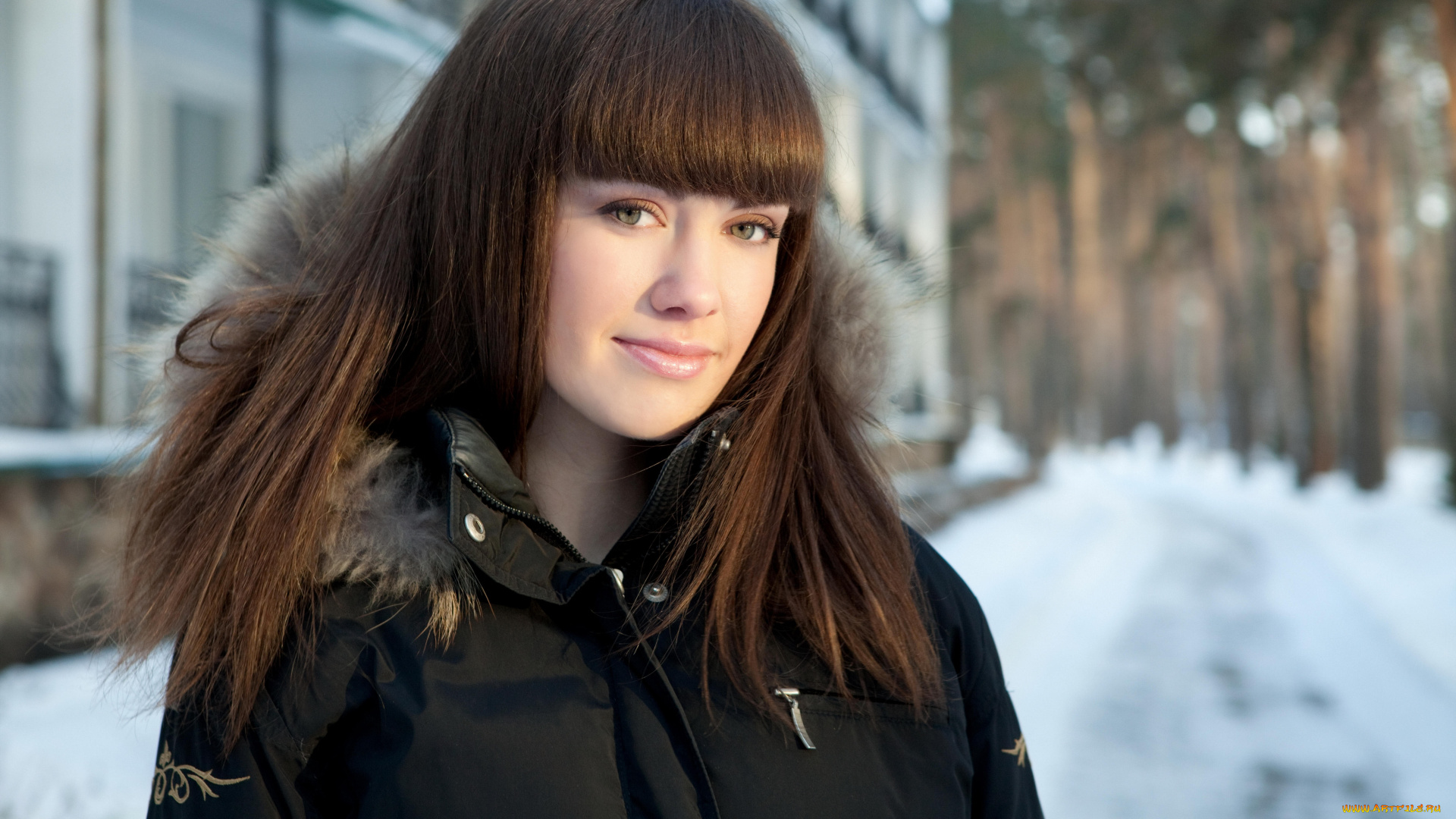 девушка, девушки, candy, rose, модель, candy, rose