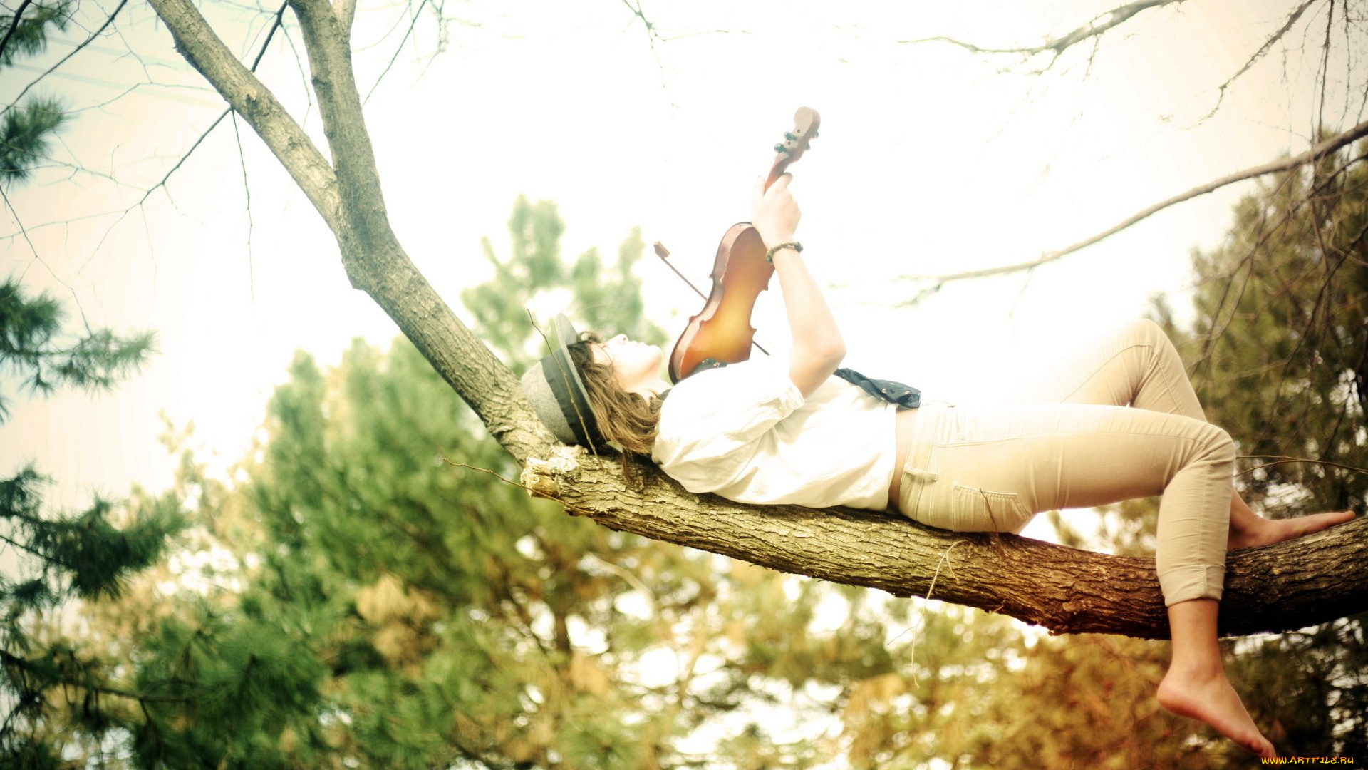 музыка, -другое, шляпа, скрипка, девушка, природа, дерево