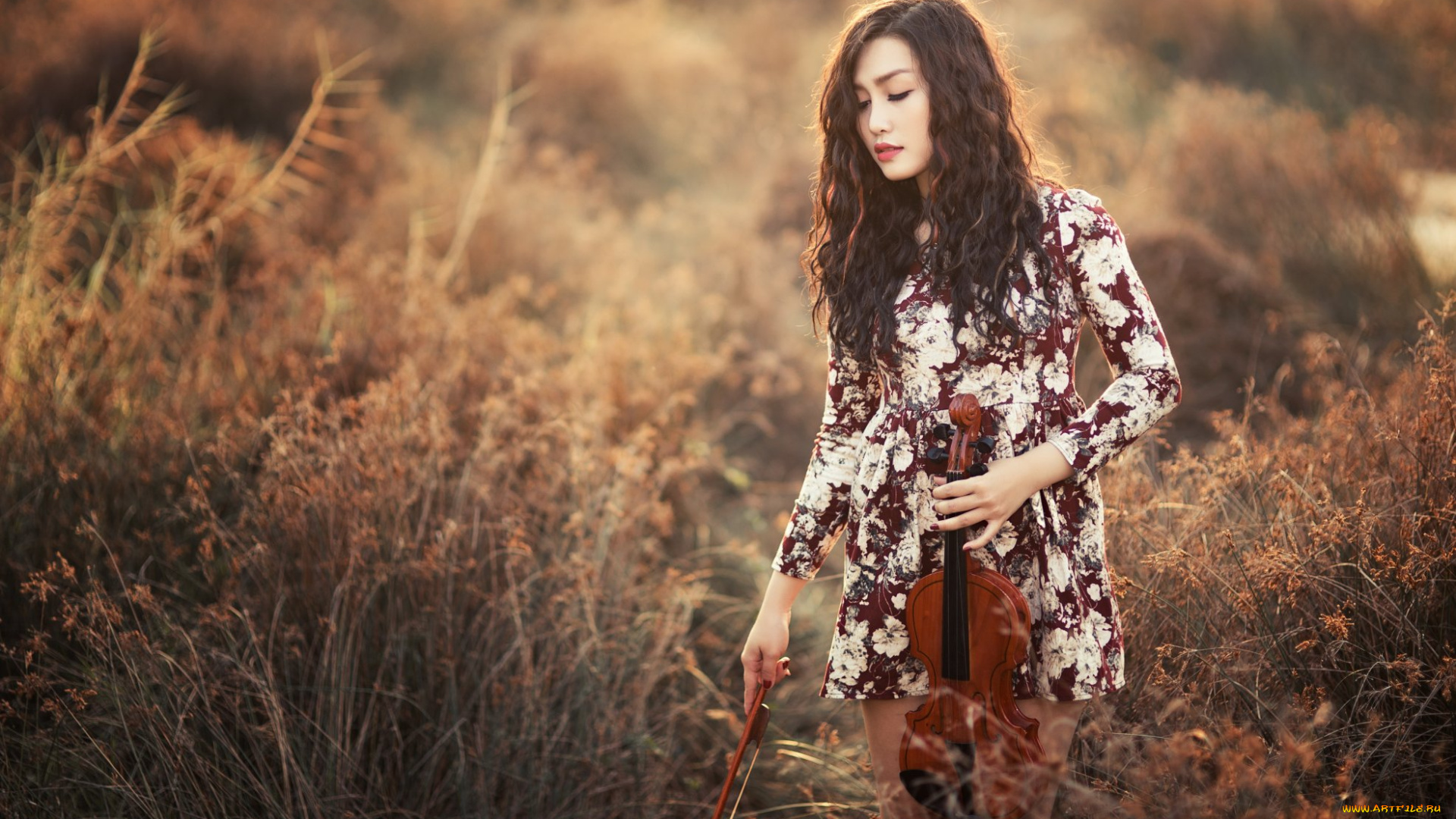 музыка, -другое, скрипка, девушка, природа