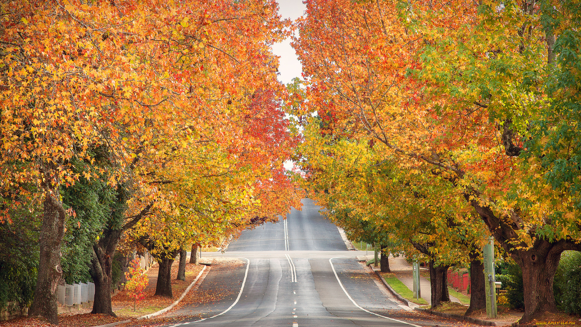 природа, дороги, простор