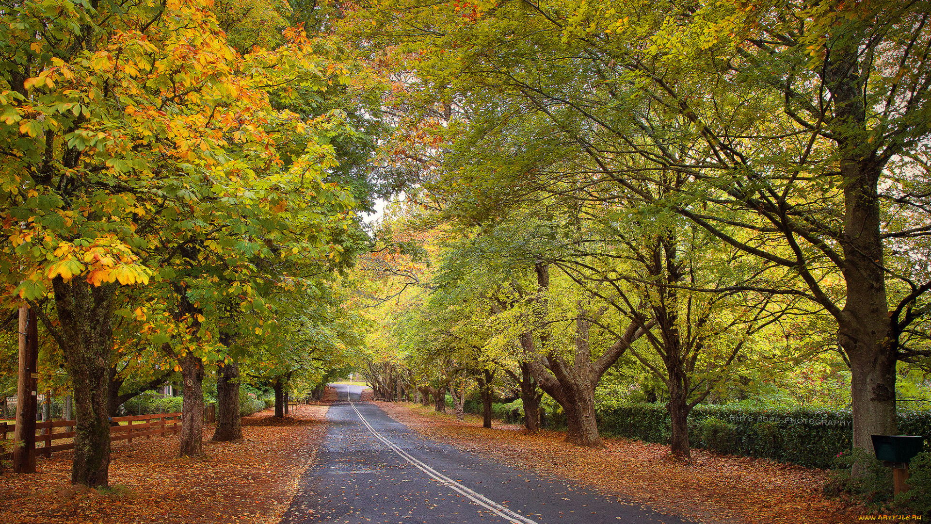 природа, дороги, простор