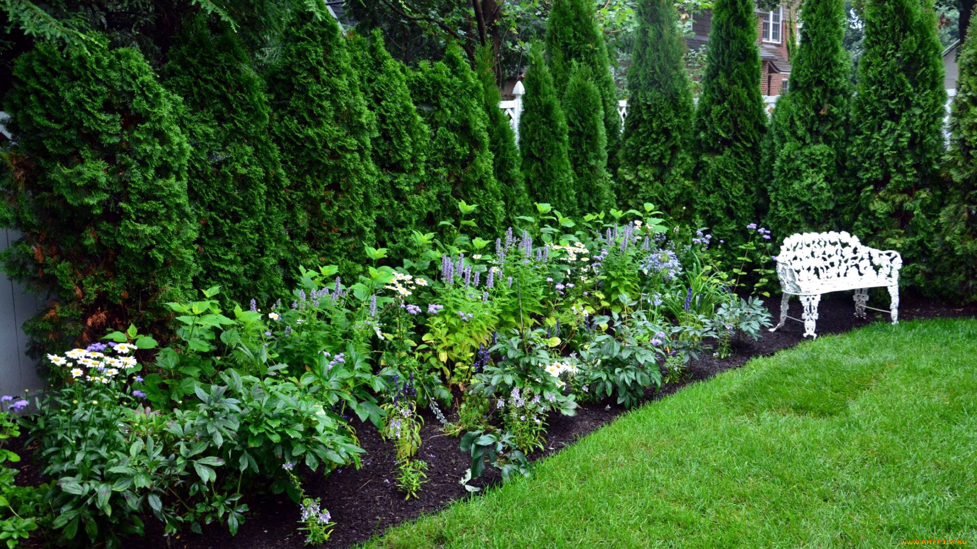 природа, парк, скамейка, клумба, лужайка