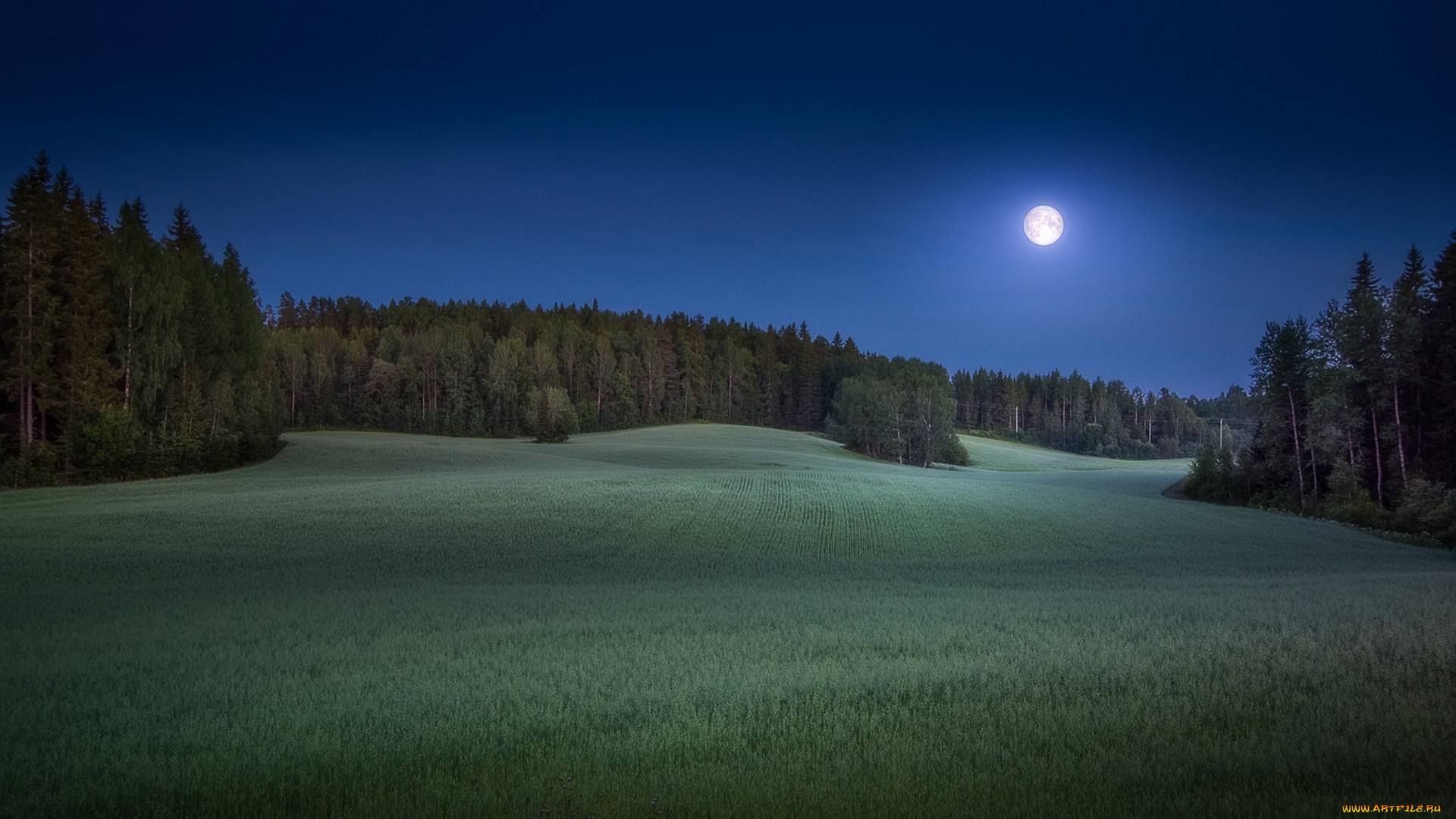 природа, пейзажи, простор