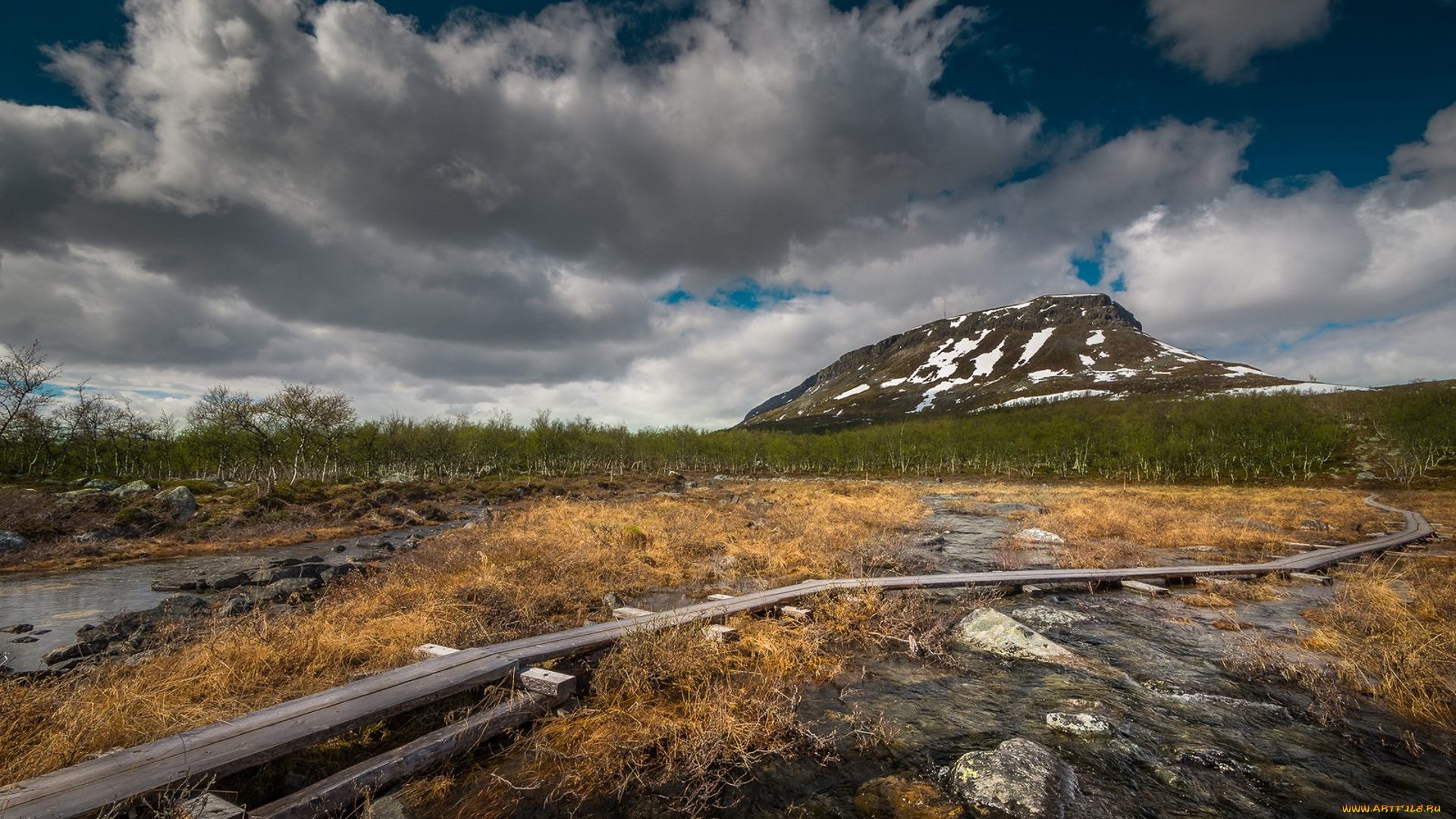природа, пейзажи, простор