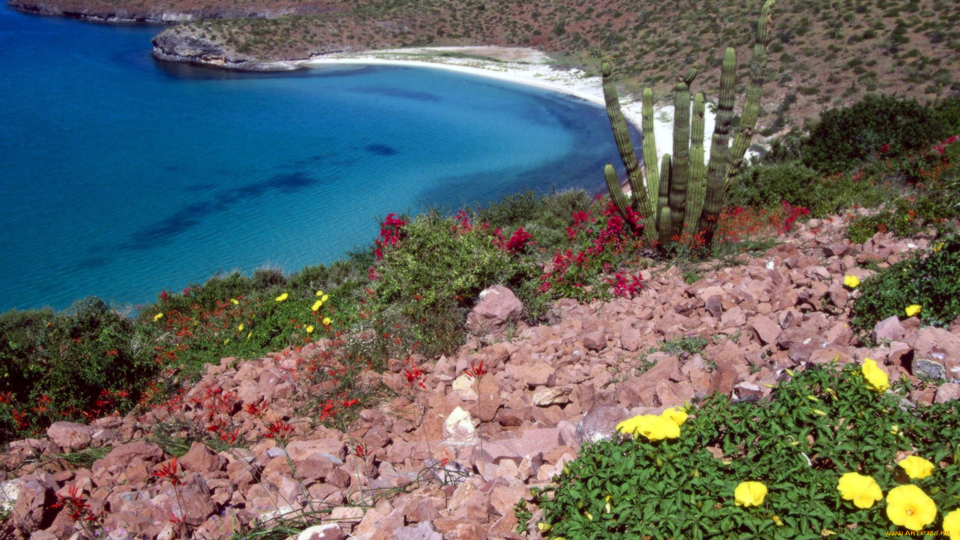 природа, побережье, залив