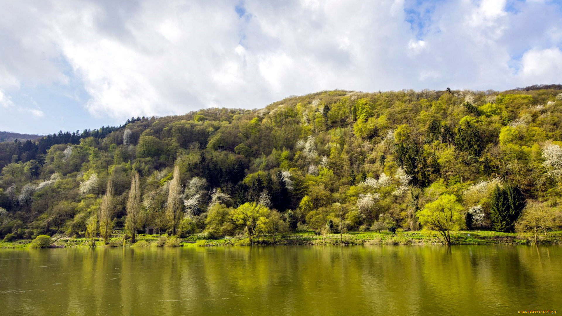 природа, реки, озера, отражение, река, вода