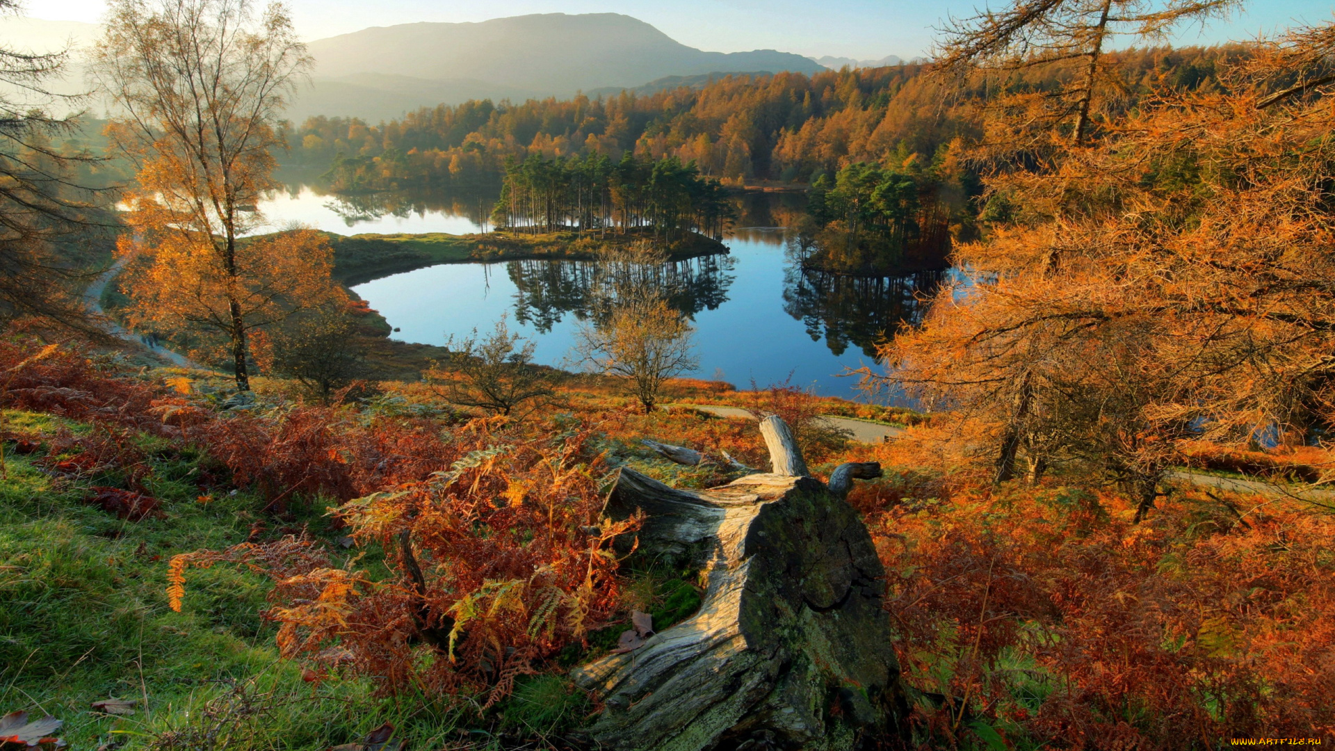 природа, реки, озера, отражение, вода, осень