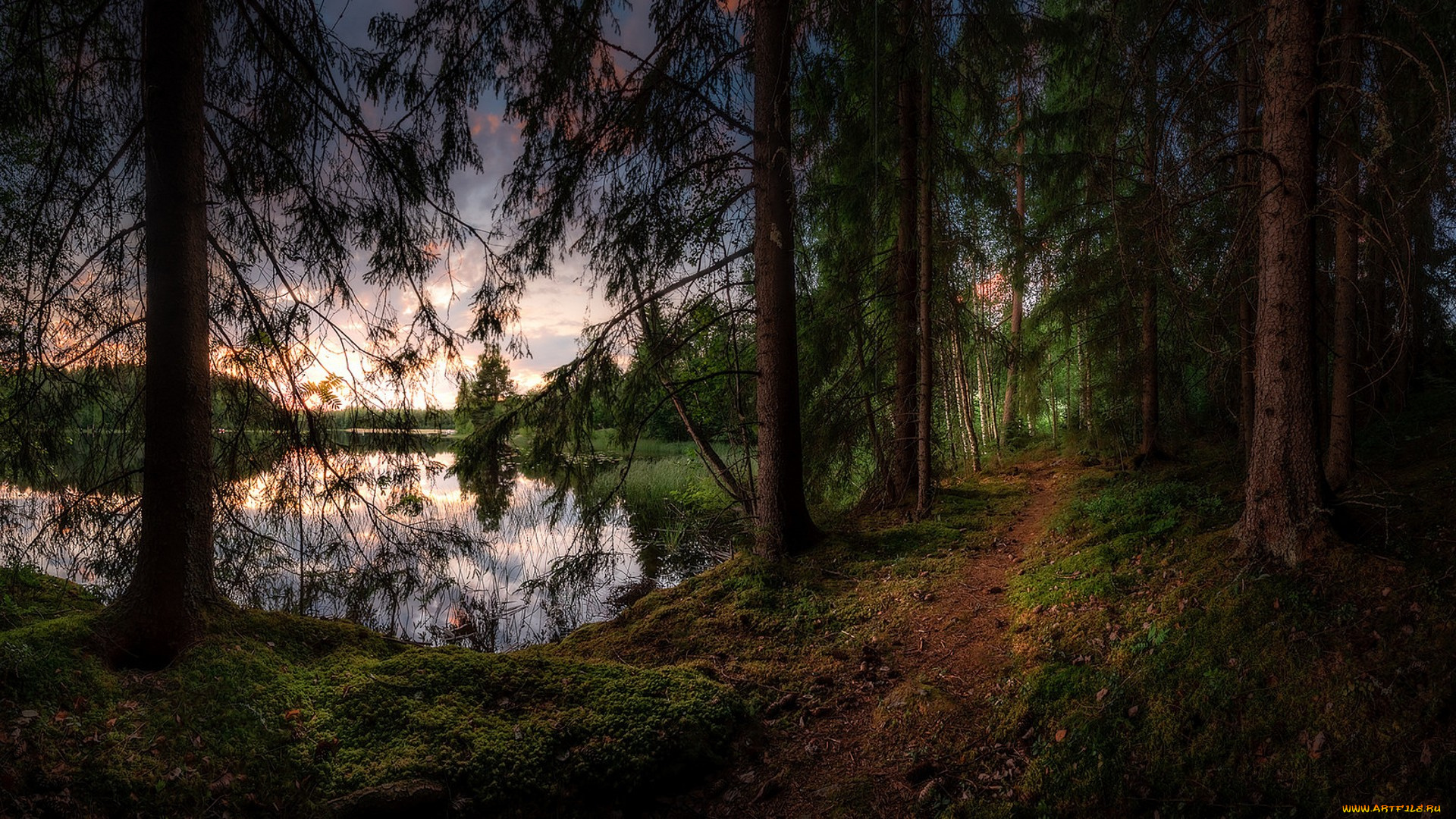 природа, реки, озера, простор